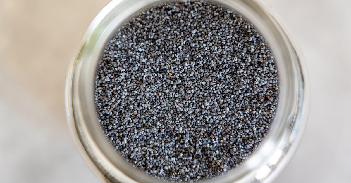The Ultimate Guide to Chia Seeds on a Keto Diet: Benefits, Tips, and Recipes